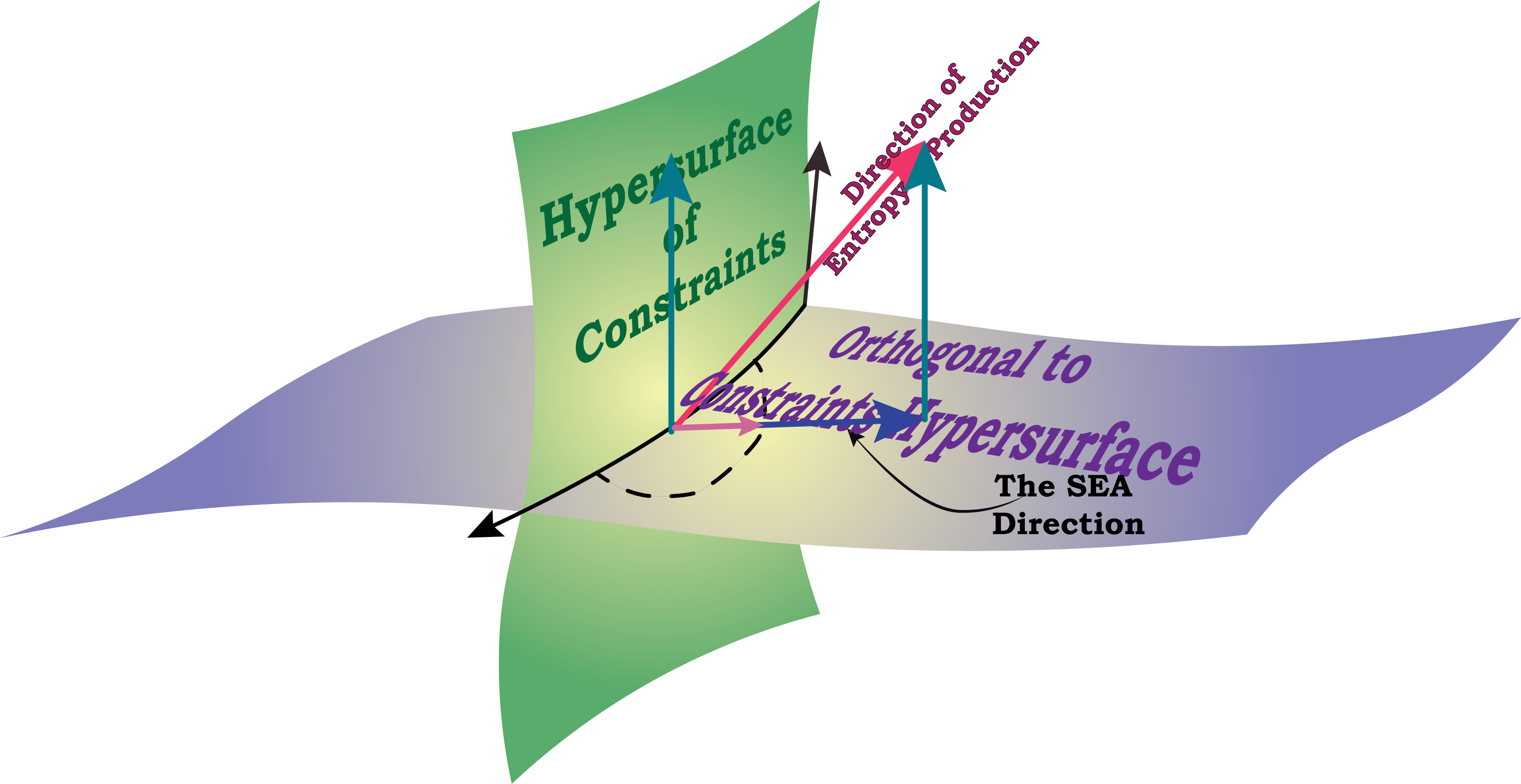 A schematic for the geometry of SEA