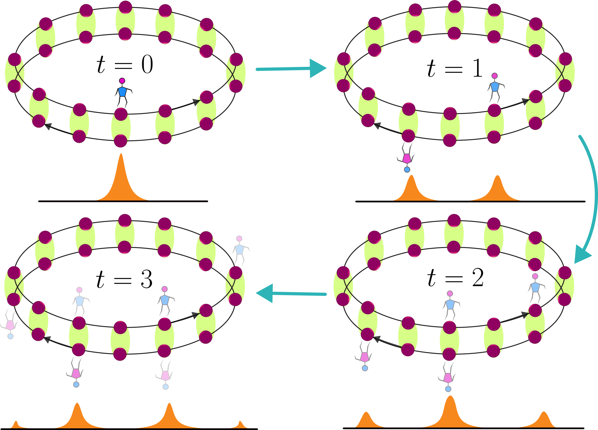 A schematic of discrete-time quantum walk